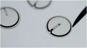 Lenses