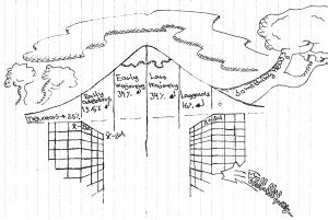 Diffusion of innovations