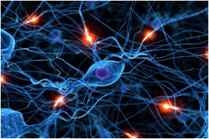 Neurones