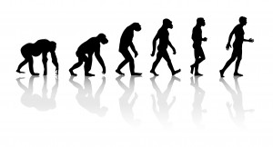 evolution