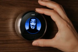 Hacked-Nest