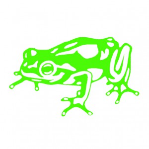 frog design logo