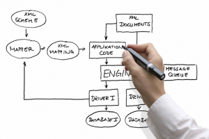 software PM services