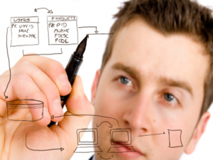 Software Architect