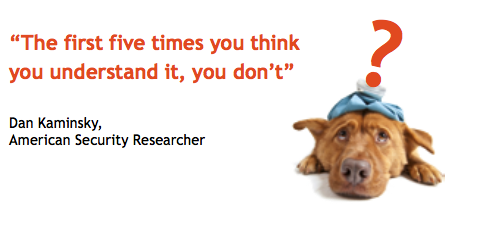blockchain_dog