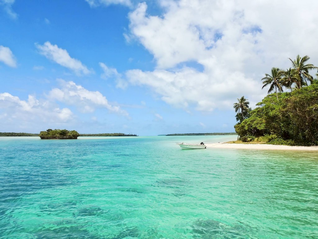 what will you bring first? ile deserte
