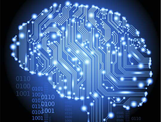 brain